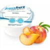 Acqua Gelificata Thè Pesca AquaSure 24x125g