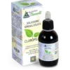 Alchimia Benoit Clorofilla Integratore Alimentare 50ml
