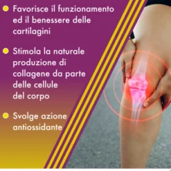 Amedial Plus Alfasigma 20 Bustine