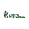 Amelfarma Amelcur Vision Integratore Alimentare 30 Compresse