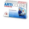 Articolene Forte 60tav