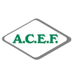 ASPARTAME USP ACEF 100g