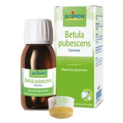 Betula Pubescens Gemme MG Boiron 60ml