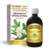 Biancospino G10+ Crataegus Oxyacantha Dr. Giorgini 500ml