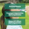 Bio Chlorella Colours of Life Optima 200 Compresse