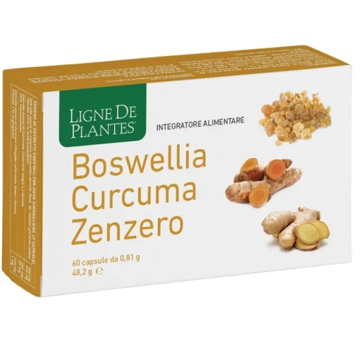 Boswellia Curcuma Zenzero 60 Capsule