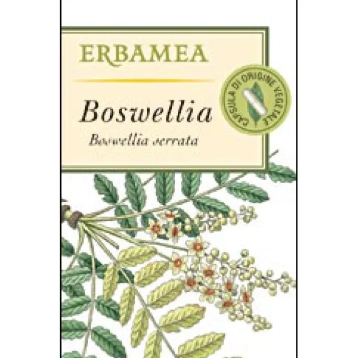 Boswellia Erbamea 50 Opercoli
