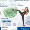 Cefferin® Stardea 14 Bustine Da 2g