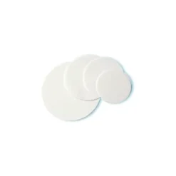 Codisan Ostia 6cm 6g