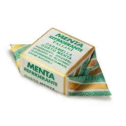 Fallani Menta Refrigerante Caramelle Biologiche Gusto Menta 100g
