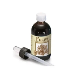 Fucus Estratto Analcolico 50ml