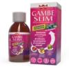 Gambe Slim Formula Trifasica Winter 300ml
