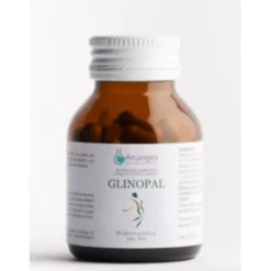 GLINOPAL ARCANGEA® 60 Capsule 500mg