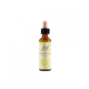 Honeysuckle Fiori Di Bach® Originali 20ml