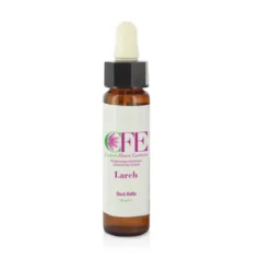 Larch Cemon Flower Essences Stock Bottle 10ml