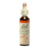 Rock Rose Fiori di Bach® Originali 20ml