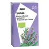 Salvia Tisana Bio 15 Filtri