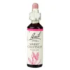 Sweet Chestnut Fiori di Bach® Original 20ml