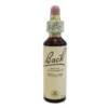 Willow Fiori Di Bach® Original 20ml